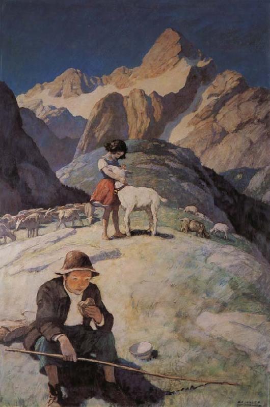 NC Wyeth Heidi